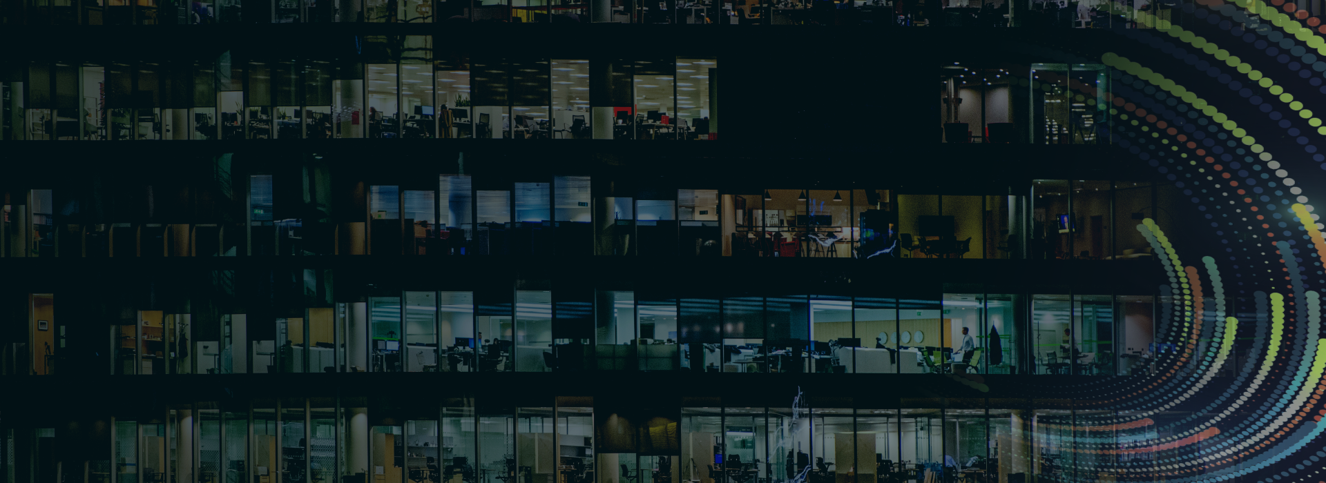 Insights & Publications